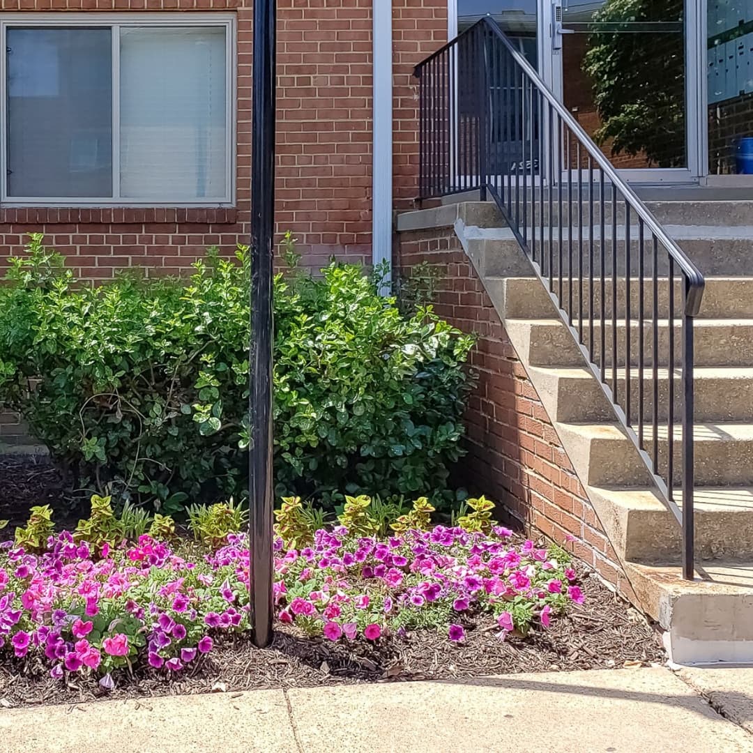 flowers.jpg